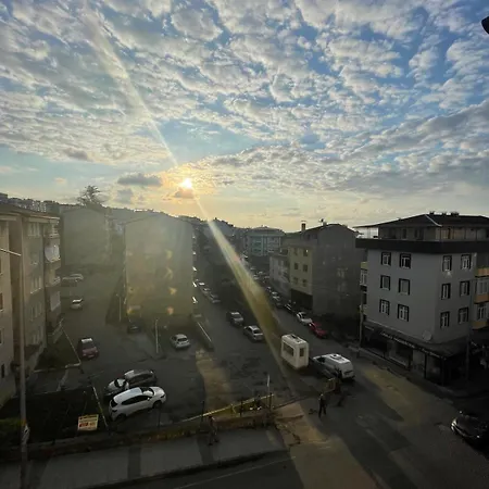 Pelitli Rezidans